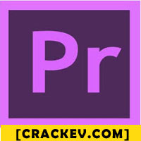 neat video premiere pro cs6 mac crack software